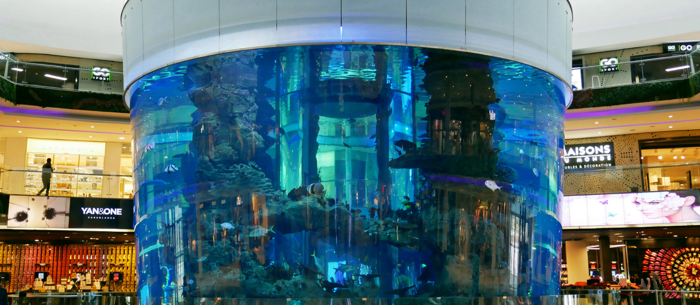 Morocco Mall: Pusat Belanja Terbesar dan Termewah di Casablanca